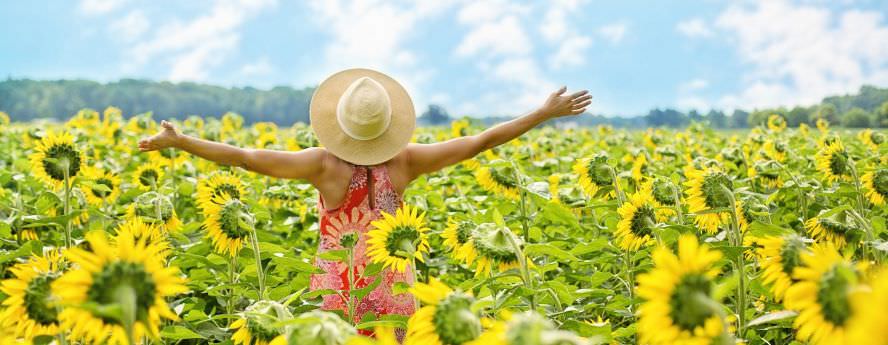 Person Wearing Summer Hat Spreading Arms In The Air In Sunflower Field Feeling Free And Happy Mood