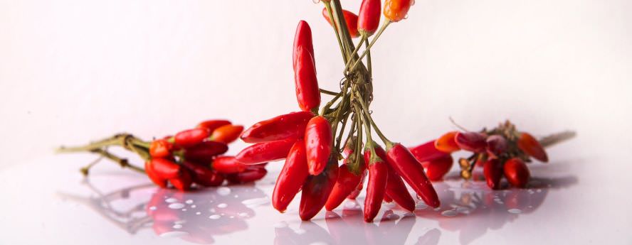 Fresh Red Hot Chili Peppers On White Background