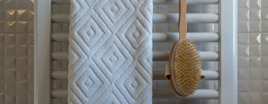 Bath Towel And Brush Hanging In Bathroom Shower